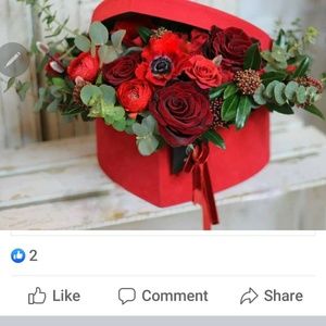 Meet your Posher, Minette